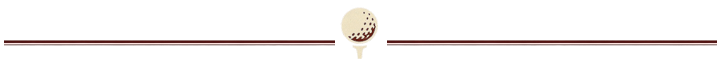 golf ball divider